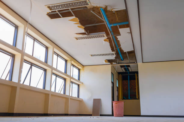 Best Flood restoration services  in Oconto, WI