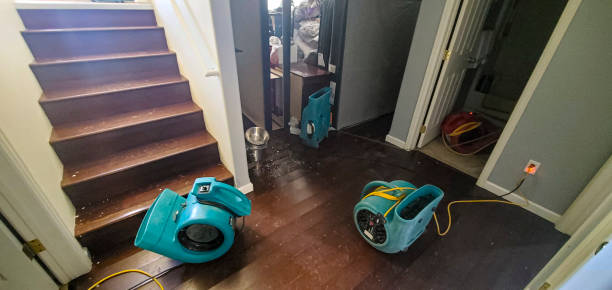 Best 24/7 water damage repair  in Oconto, WI