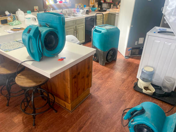 Best Carpet water damage restoration  in Oconto, WI