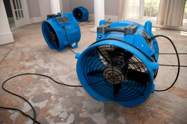 Best Residential water damage restoration  in Oconto, WI