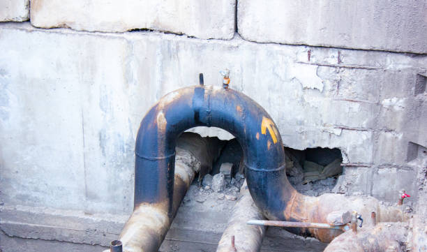 Best Flooded house restoration  in Oconto, WI